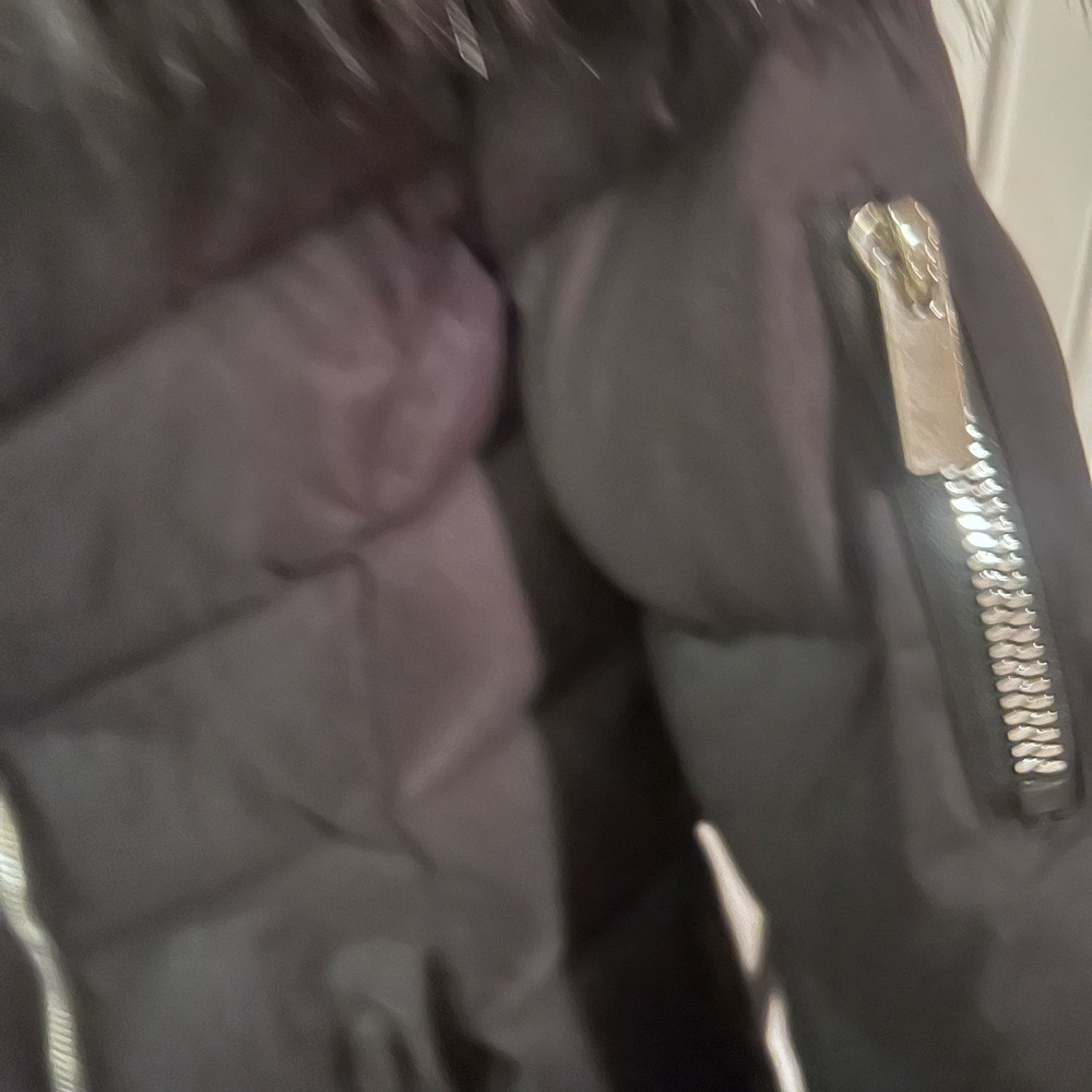 SHEIN Black Quilted Jacket with Two Way Zipper - Picture 7 of 8